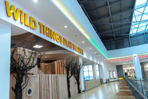 Wild Things Play Project Plymouth