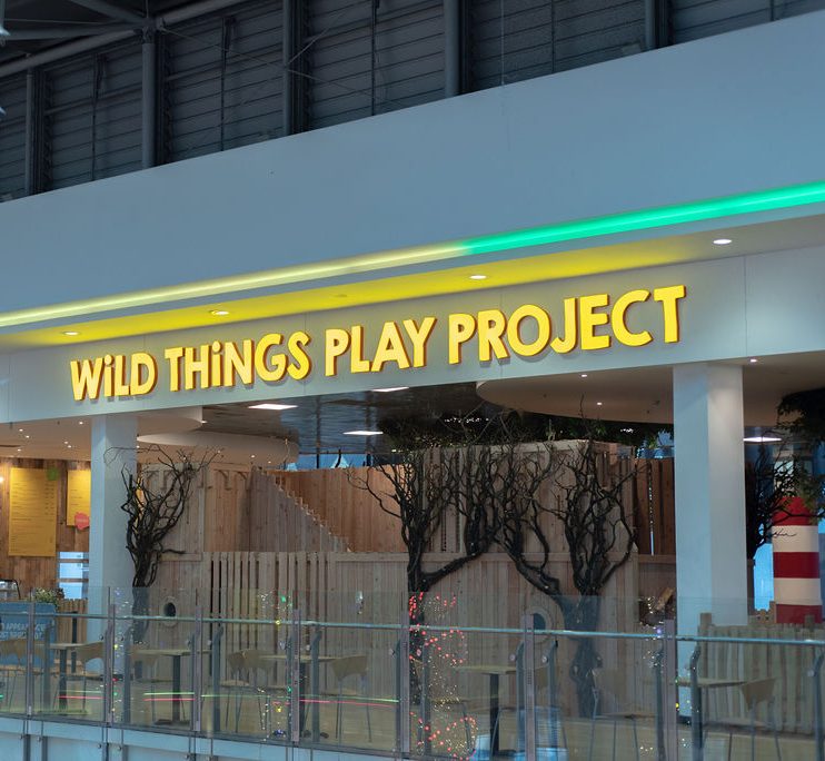 Wild Things Play Project Plymouth